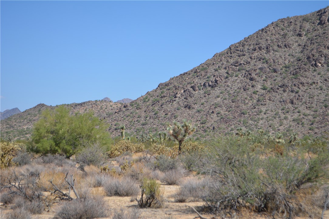 11869 South Central Road Yucca, AZ 86438 - Photo 20 of 92 a view of a dry yard with mountains in the background