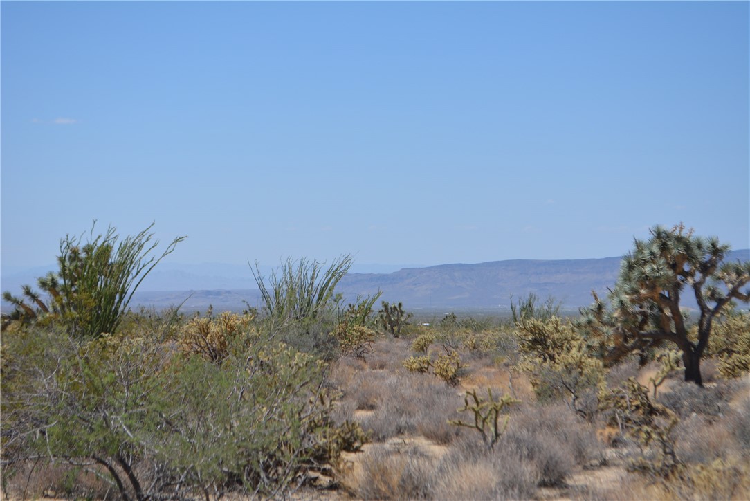11869 South Central Road Yucca, AZ 86438 - Photo 33 of 92