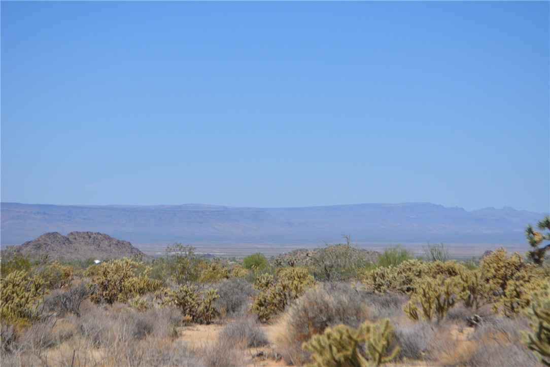 11869 South Central Road Yucca, AZ 86438 - Photo 36 of 92