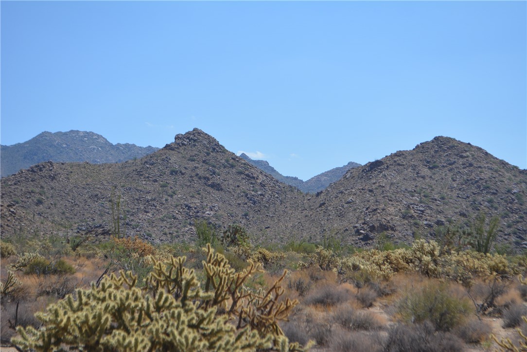 11869 South Central Road Yucca, AZ 86438 - Photo 4 of 92 a view of a dry field