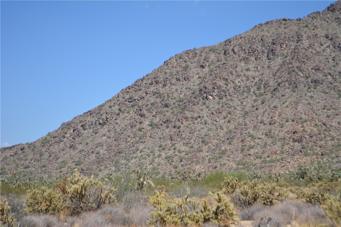 11869 South Central Road Yucca, AZ 86438 - Photo 42 of 92 a view of a dry yard with a mountain