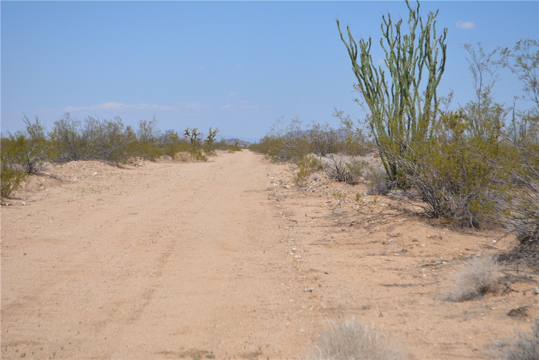 11869 South Central Road Yucca, AZ 86438 - Photo 43 of 92