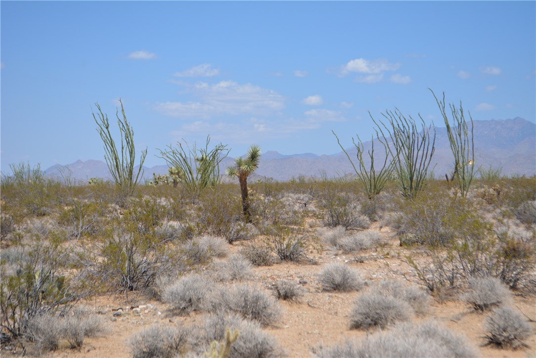 11869 South Central Road Yucca, AZ 86438 - Photo 45 of 92