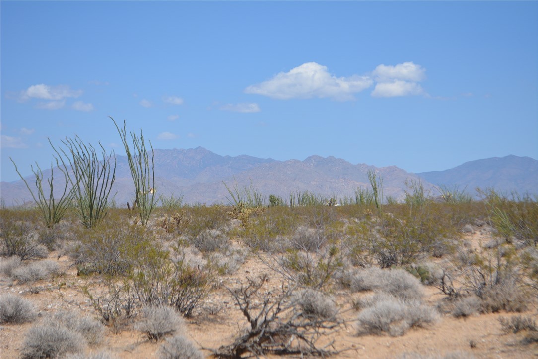 11869 South Central Road Yucca, AZ 86438 - Photo 46 of 92 a view of a dry yard with mountains in the background