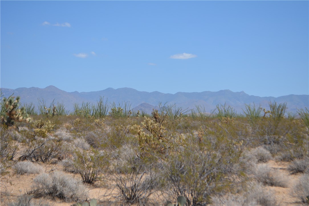 11869 South Central Road Yucca, AZ 86438 - Photo 48 of 92