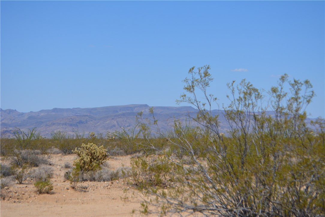 11869 South Central Road Yucca, AZ 86438 - Photo 58 of 92