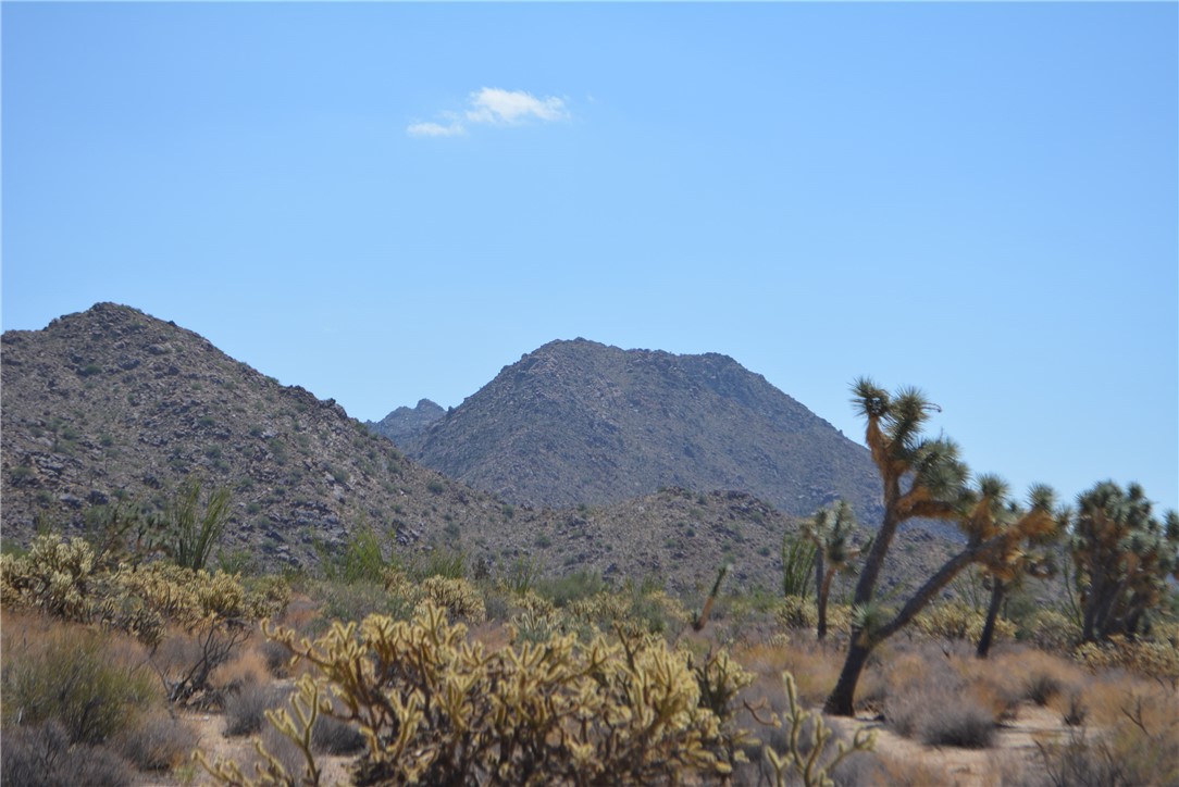 11869 South Central Road Yucca, AZ 86438 - Photo 6 of 92 a view of a dry field