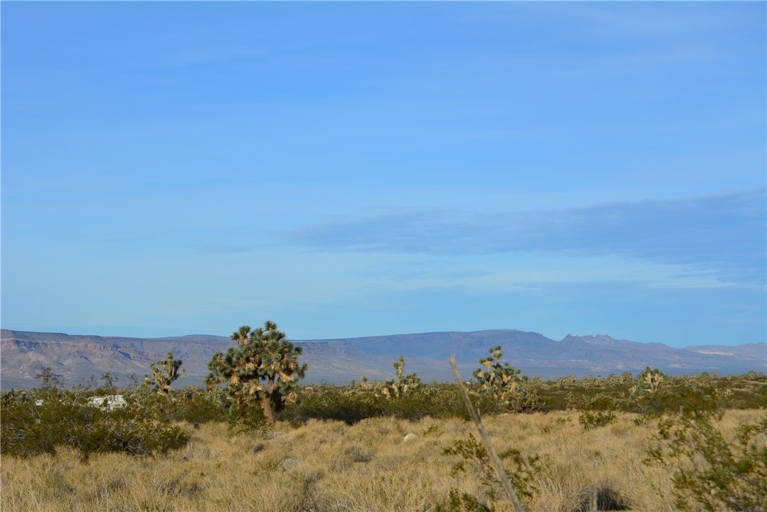 11869 South Central Road Yucca, AZ 86438 - Photo 67 of 92 View of mountain background