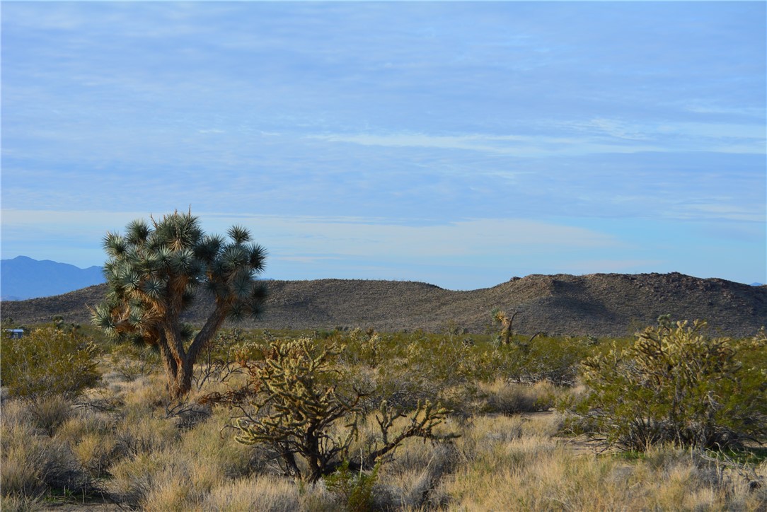 11869 South Central Road Yucca, AZ 86438 - Photo 69 of 92 View of mountain backdrop