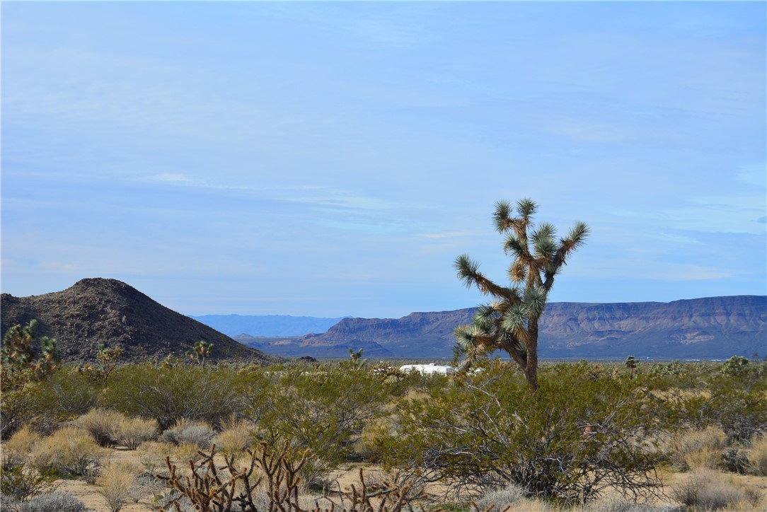 11869 South Central Road Yucca, AZ 86438 - Photo 79 of 92 View of mountain backdrop