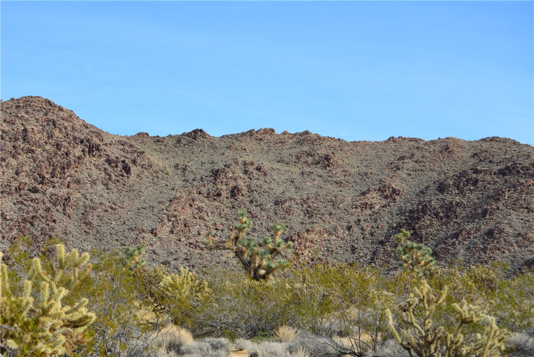 11869 South Central Road Yucca, AZ 86438 - Photo 85 of 92 View of mountain background
