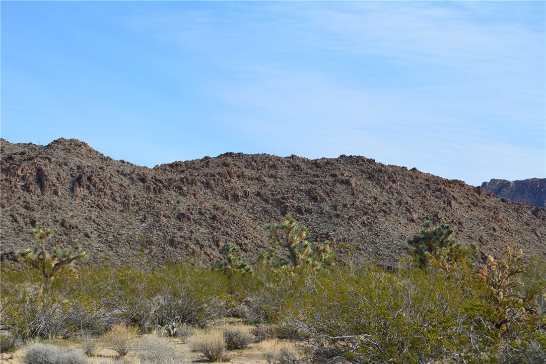 11869 South Central Road Yucca, AZ 86438 - Photo 87 of 92 a view of a mountain range with trees in the background