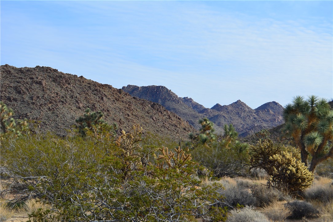 11869 South Central Road Yucca, AZ 86438 - Photo 88 of 92 a view of a large mountains in a field