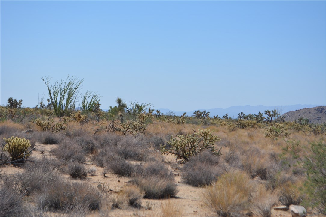 11869 South Central Road Yucca, AZ 86438 - Photo 9 of 92