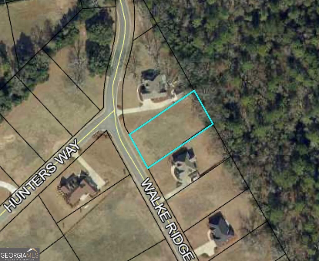 0 Walke Ridge Road Dublin, GA 31021 - Photo 1 of 1 Main View