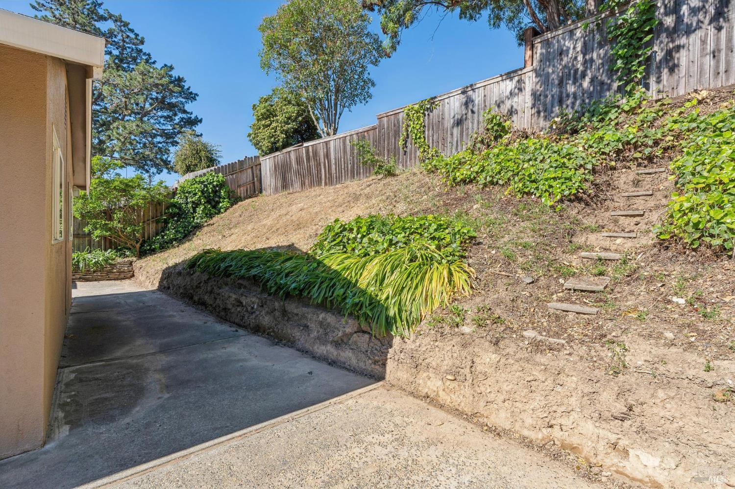 546 Pinewood Drive San Rafael, CA 94903 - Photo 48 of 52 a view of a yard with plants