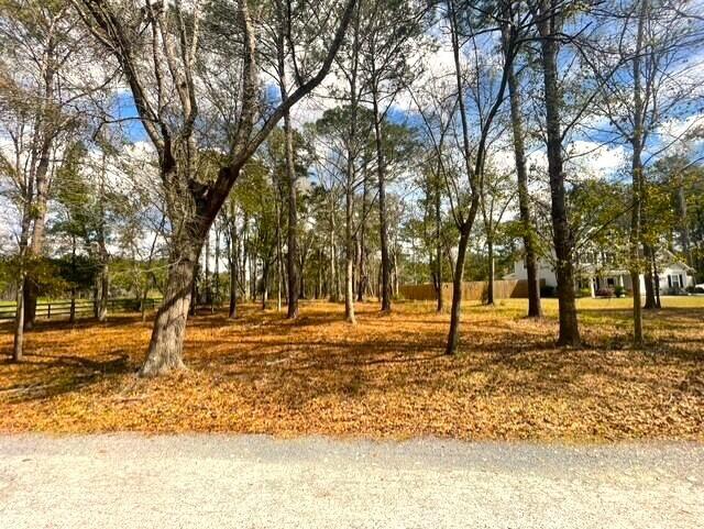 5565 Huckleberry Lane McClellanville, SC 29458 - Photo 4 of 5 6a032feb-a90c-4881-82fb-77ba1b958c54