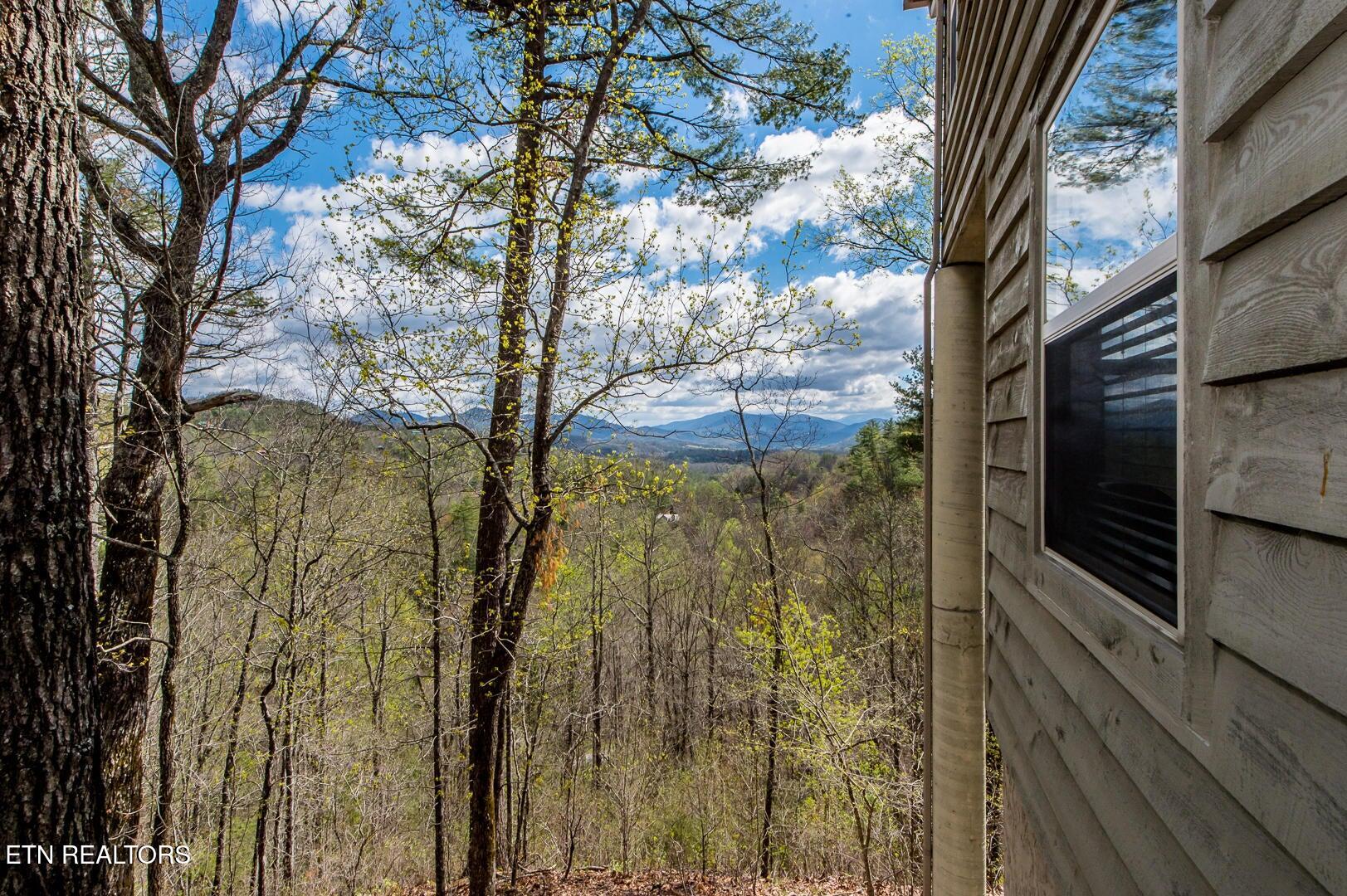 620 Hawk View Drive Townsend, TN 37882 - Photo 38 of 48 620 Hawk View ariel