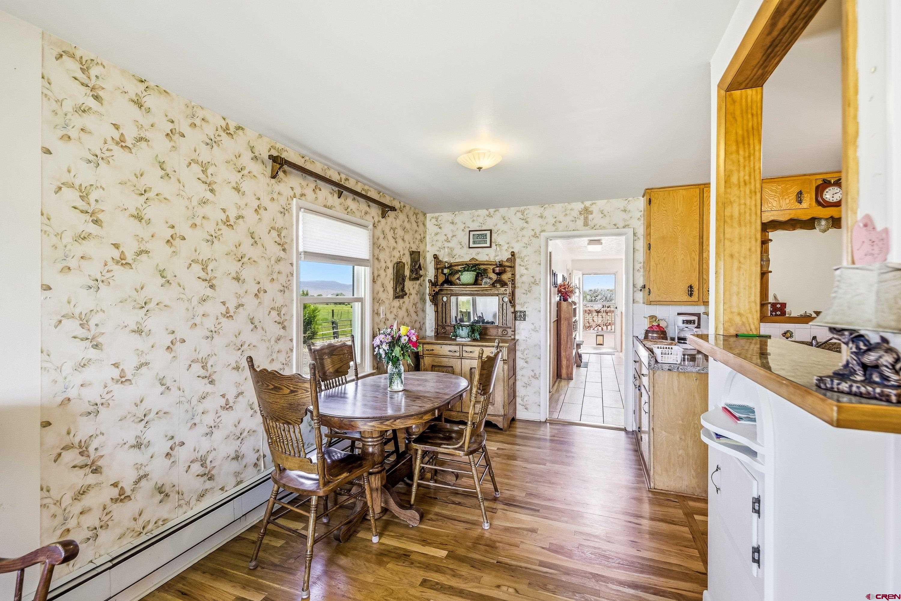 21066 Kaiser Road Austin, CO 81410 - Photo 4 of 42