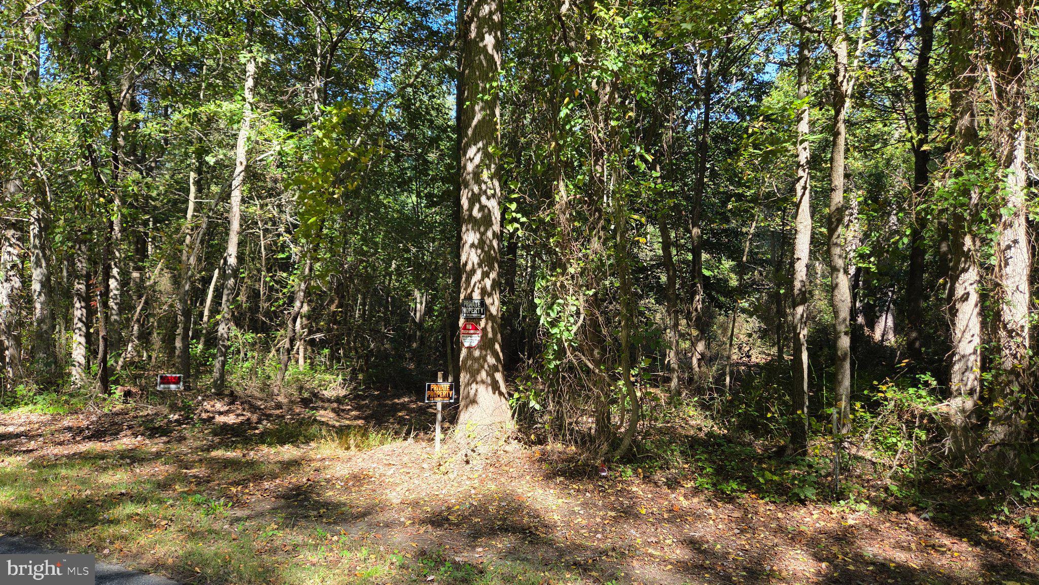 Duhamel Corner Road Rockville, MD 20850 - Photo 3 of 5 Right side of parcel! Enter at own risk. Hunting!