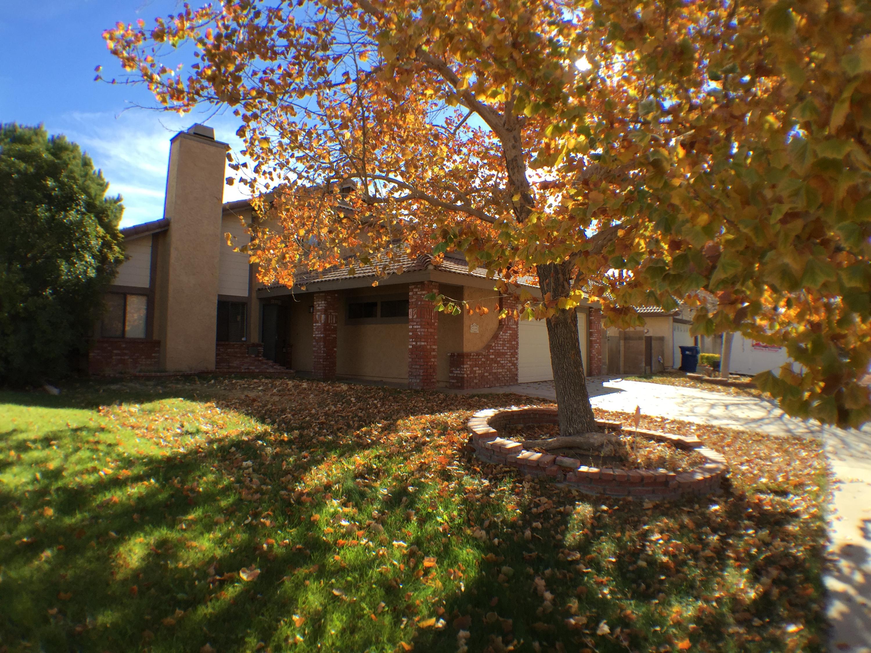 Front Yard