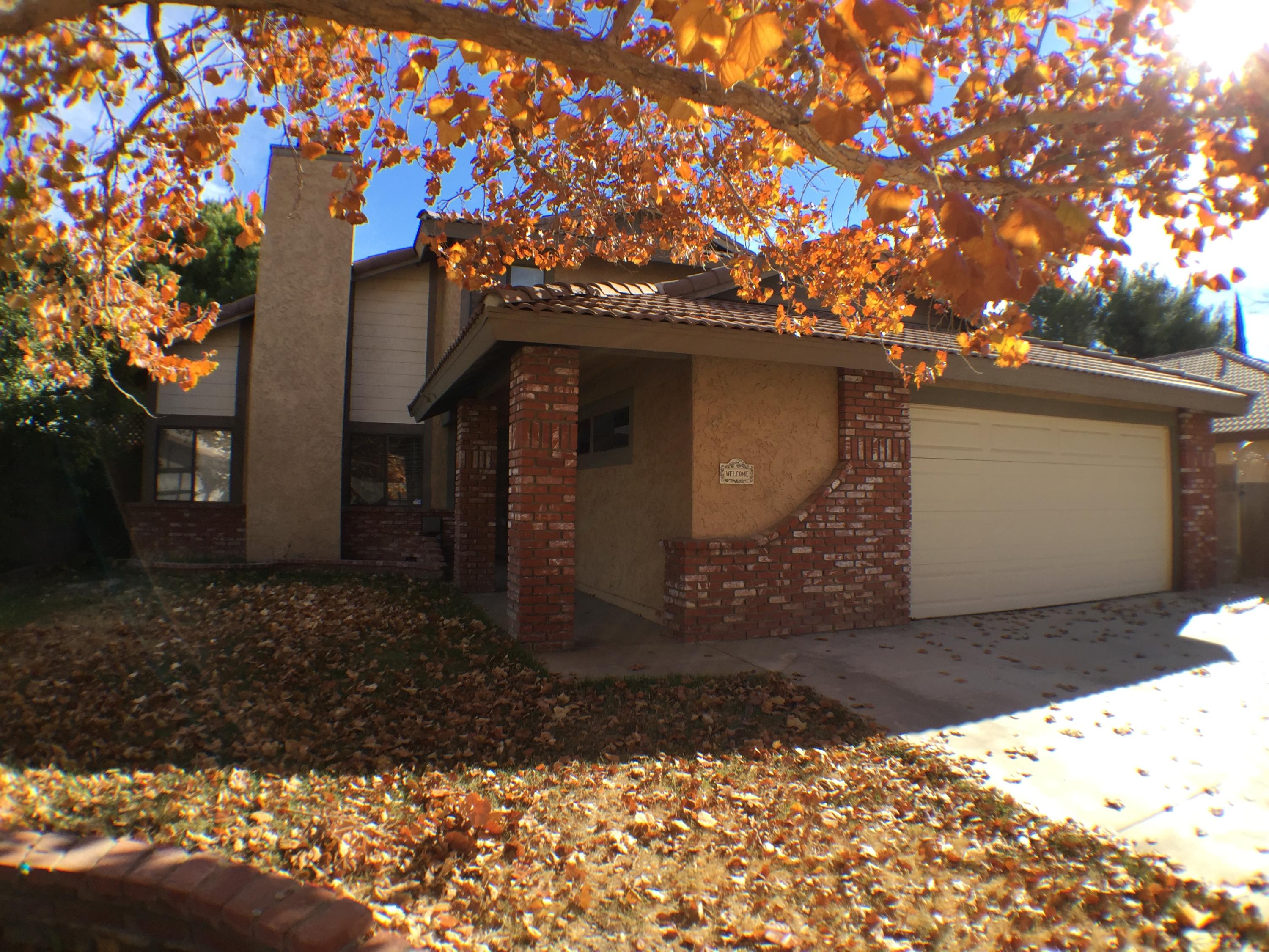 Front Yard