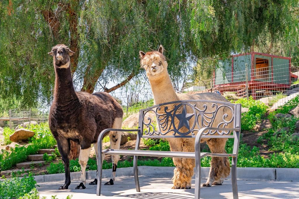 1023 Olive Avenue Ramona, CA 92065 - Photo 35 of 41