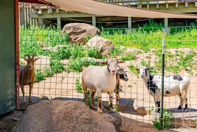 $1,129,000 | 1023 Olive Avenue, Ramona, CA 92065