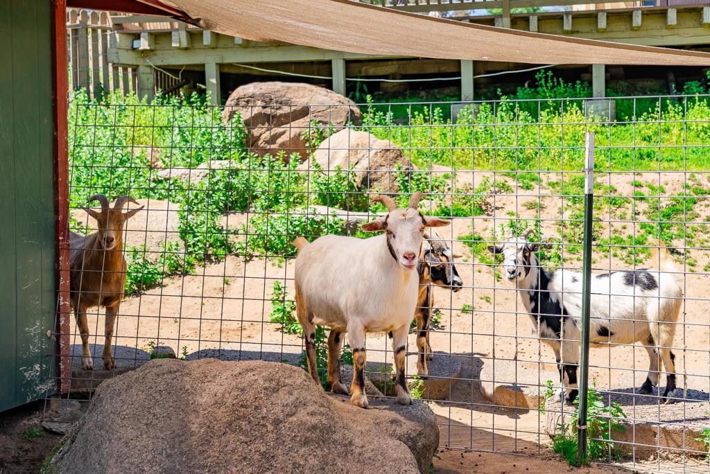 1023 Olive Avenue Ramona, CA 92065 - Photo 36 of 41