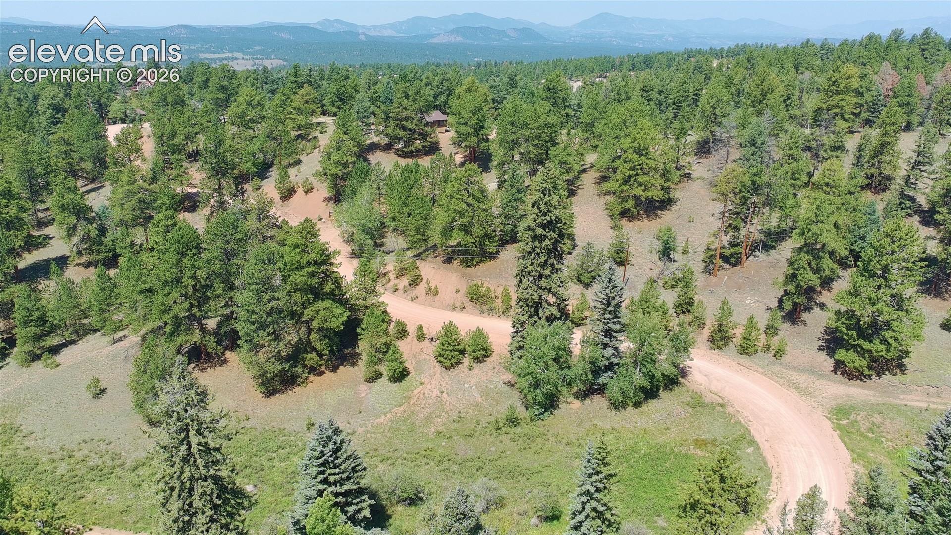 787 Spring Valley Lane Florissant, CO 80816 - Photo 12 of 21 Gallery Image 12