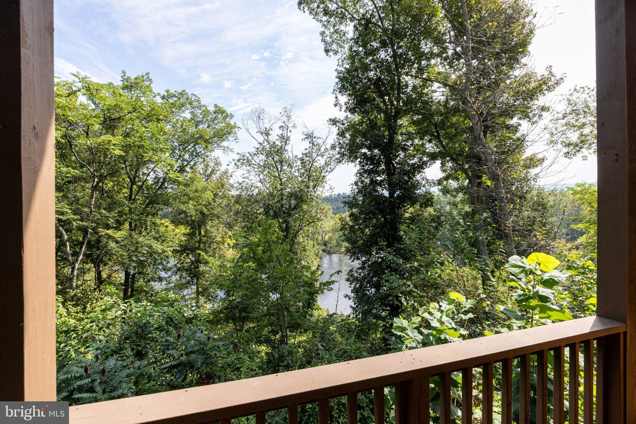 99 Fish Trap Path Luray, VA 22835 - Photo 46 of 149 Gallery Image 46
