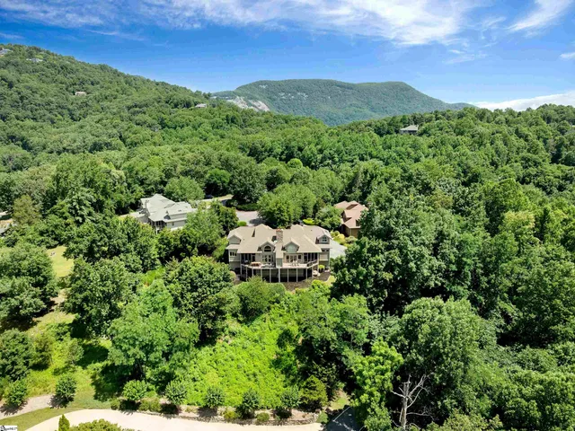 $725,000 | 9 Vireo Drive, Landrum, SC 29356