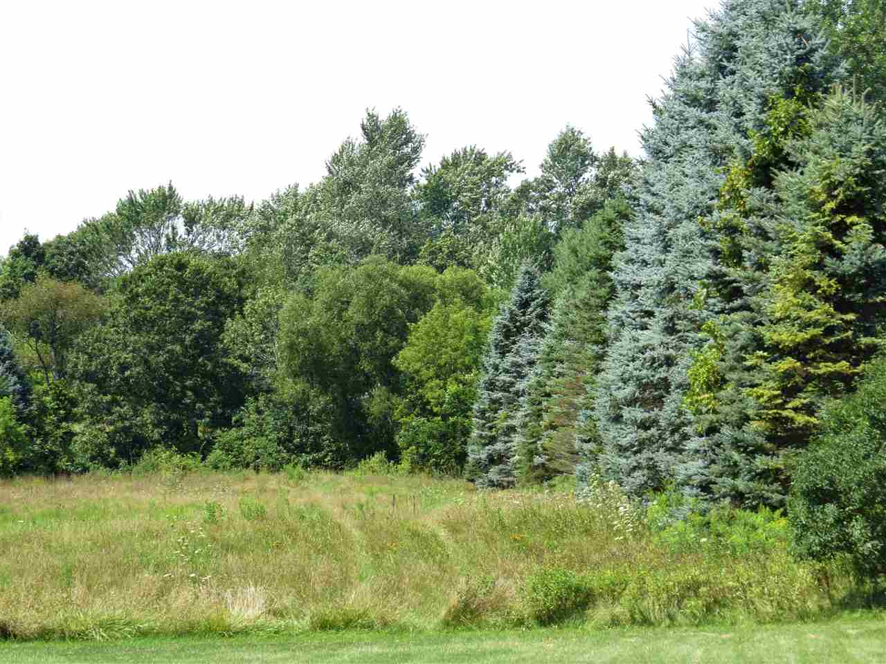 11280 Odell Road Linden, MI 48451 - Photo 44 of 55