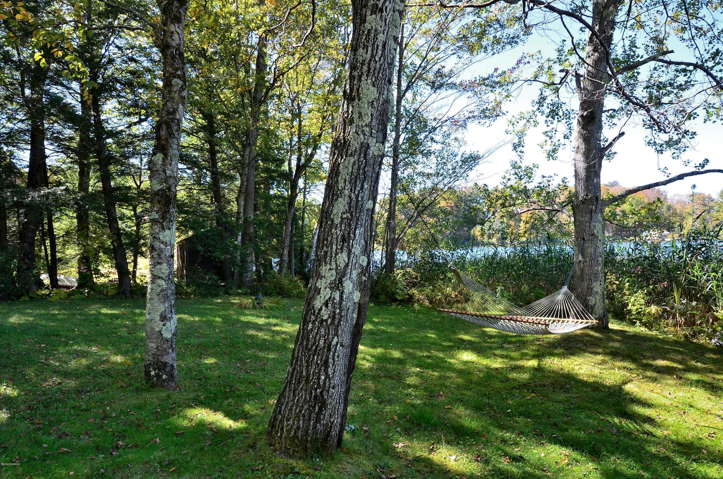 16 Point Road Monterey, MA 01245 - Photo 7 of 18 a view of a trees with a yard