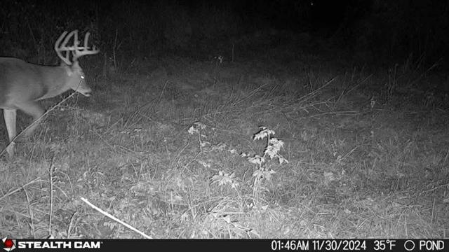 34 Aycock Road Deville, LA 71328 - Photo 5 of 13