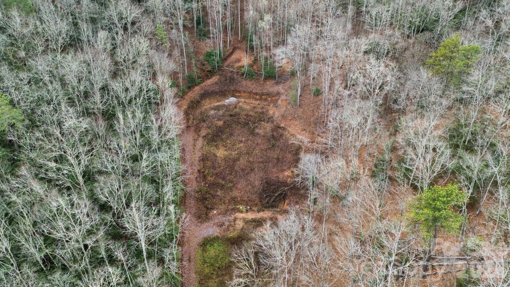 1182 Tunnel Mountain Road Sylva, NC 28779 - Photo 2 of 11