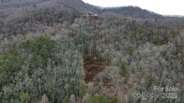 a view of a dry yard