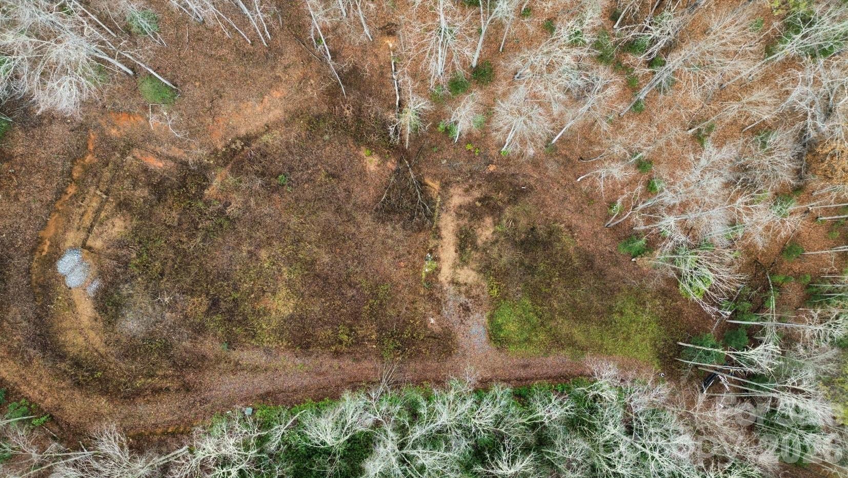 1182 Tunnel Mountain Road Sylva, NC 28779 - Photo 3 of 11