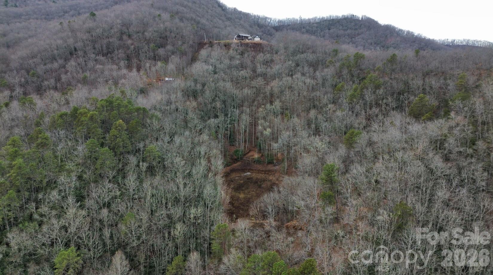 1182 Tunnel Mountain Road Sylva, NC 28779 - Photo 4 of 11
