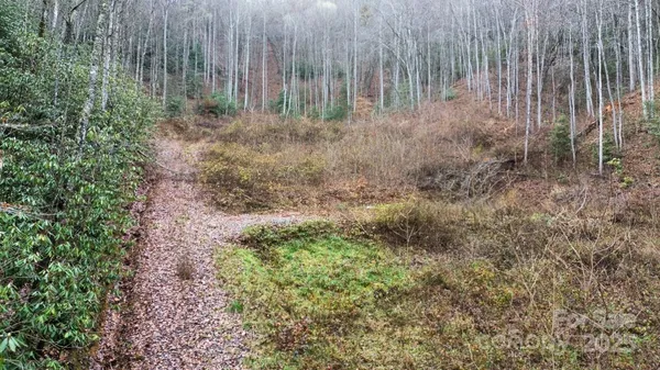 a view of backyard with green space