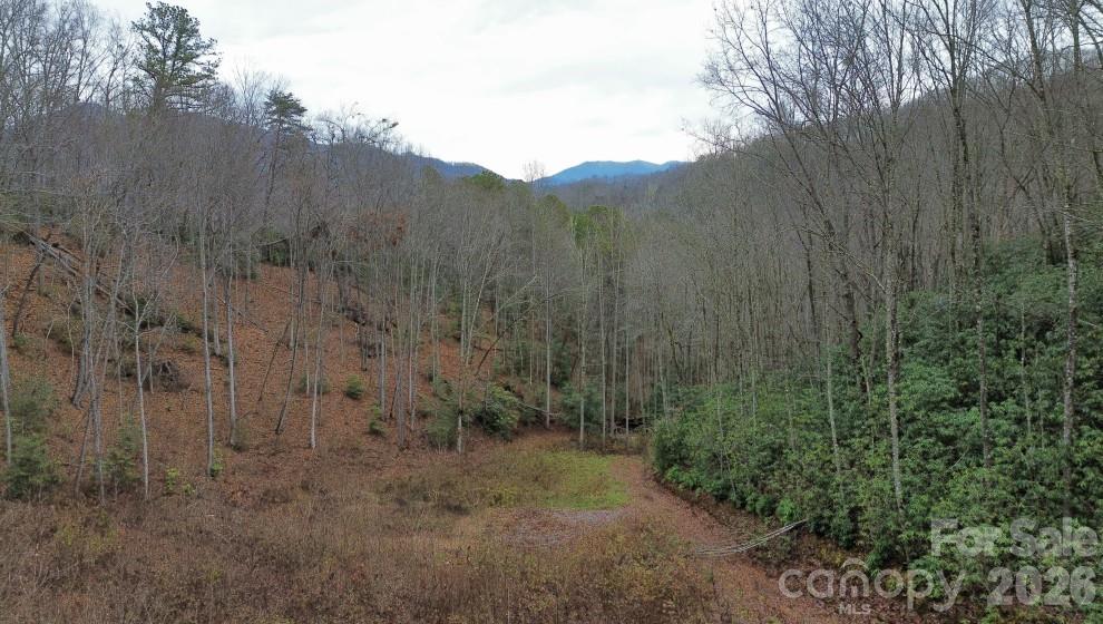 1182 Tunnel Mountain Road Sylva, NC 28779 - Photo 5 of 11