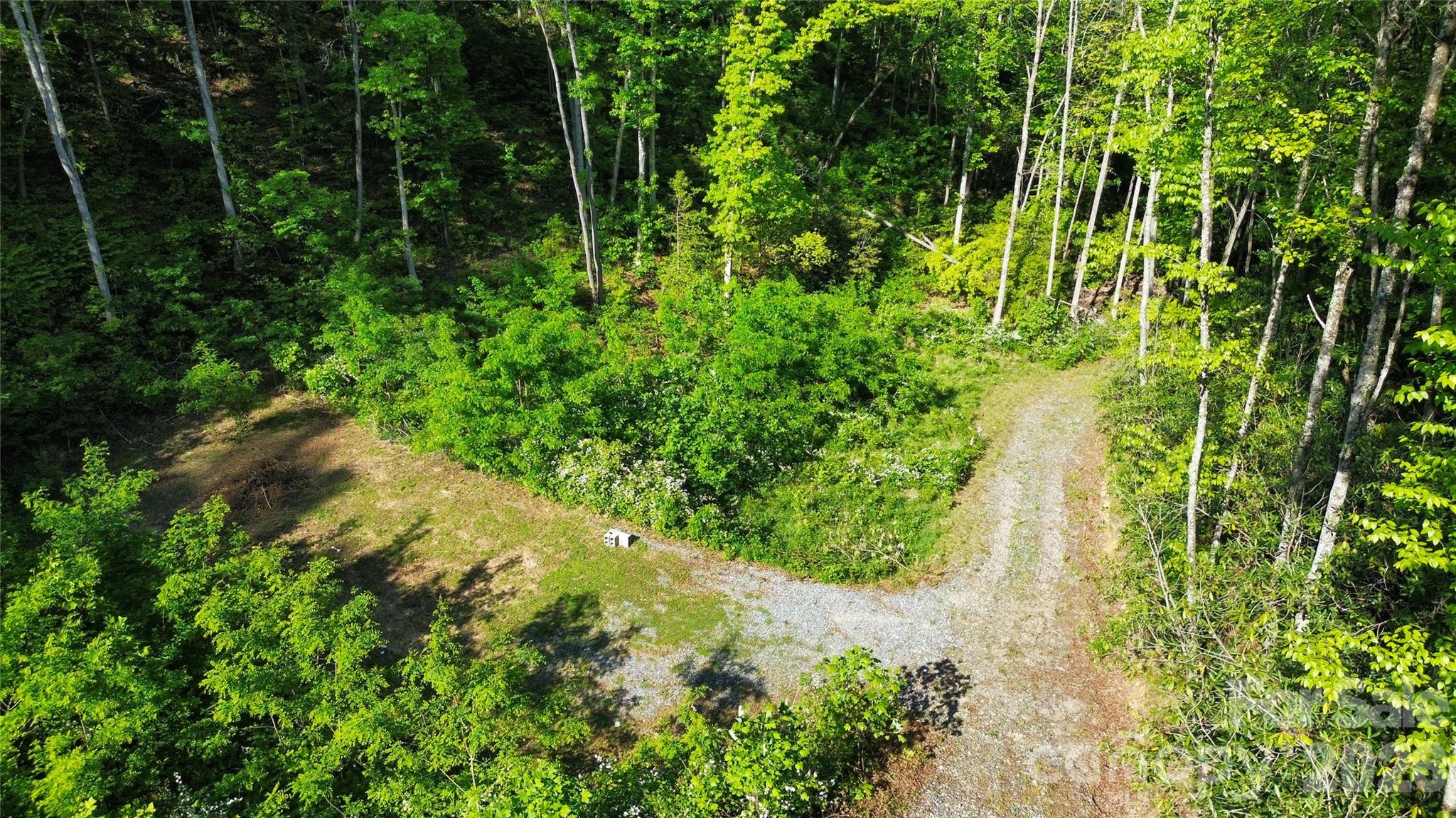 1182 Tunnel Mountain Road Sylva, NC 28779 - Photo 9 of 11