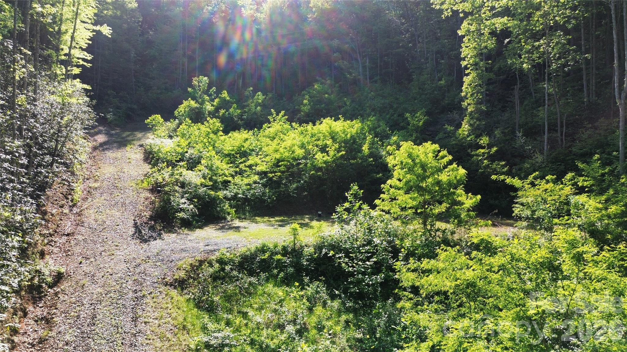 1182 Tunnel Mountain Road Sylva, NC 28779 - Photo 10 of 11