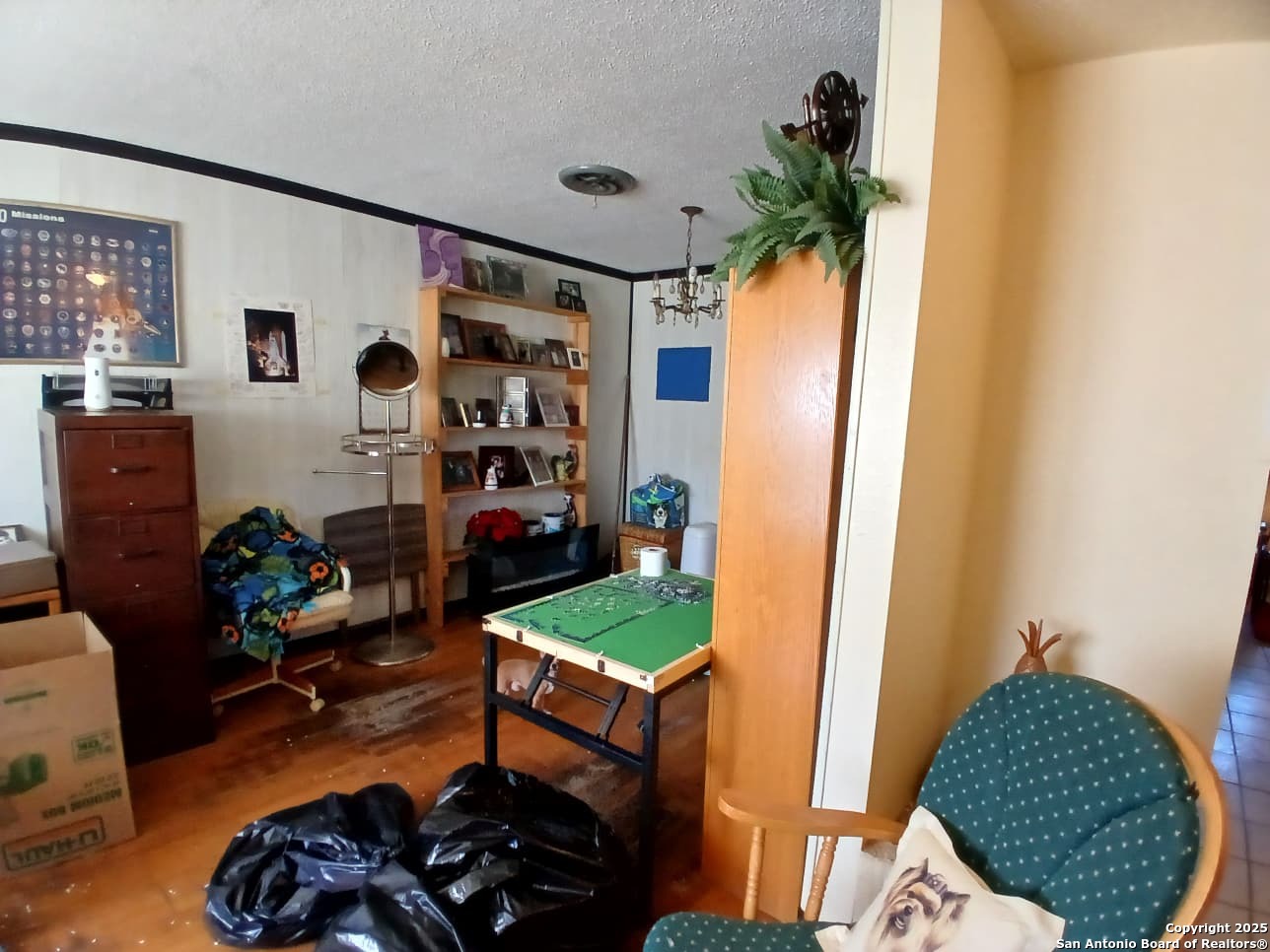 706 Thomaston River Road Cuero, TX 77954 - Photo 41 of 46 a room with furniture and a potted plant