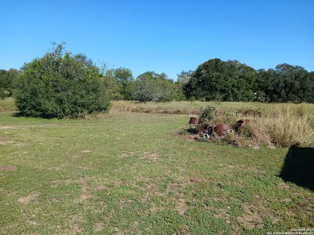a view of a house with backyard and a tree