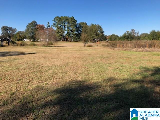 452 Curry Station Road Munford, AL 36268 - Photo 27 of 33