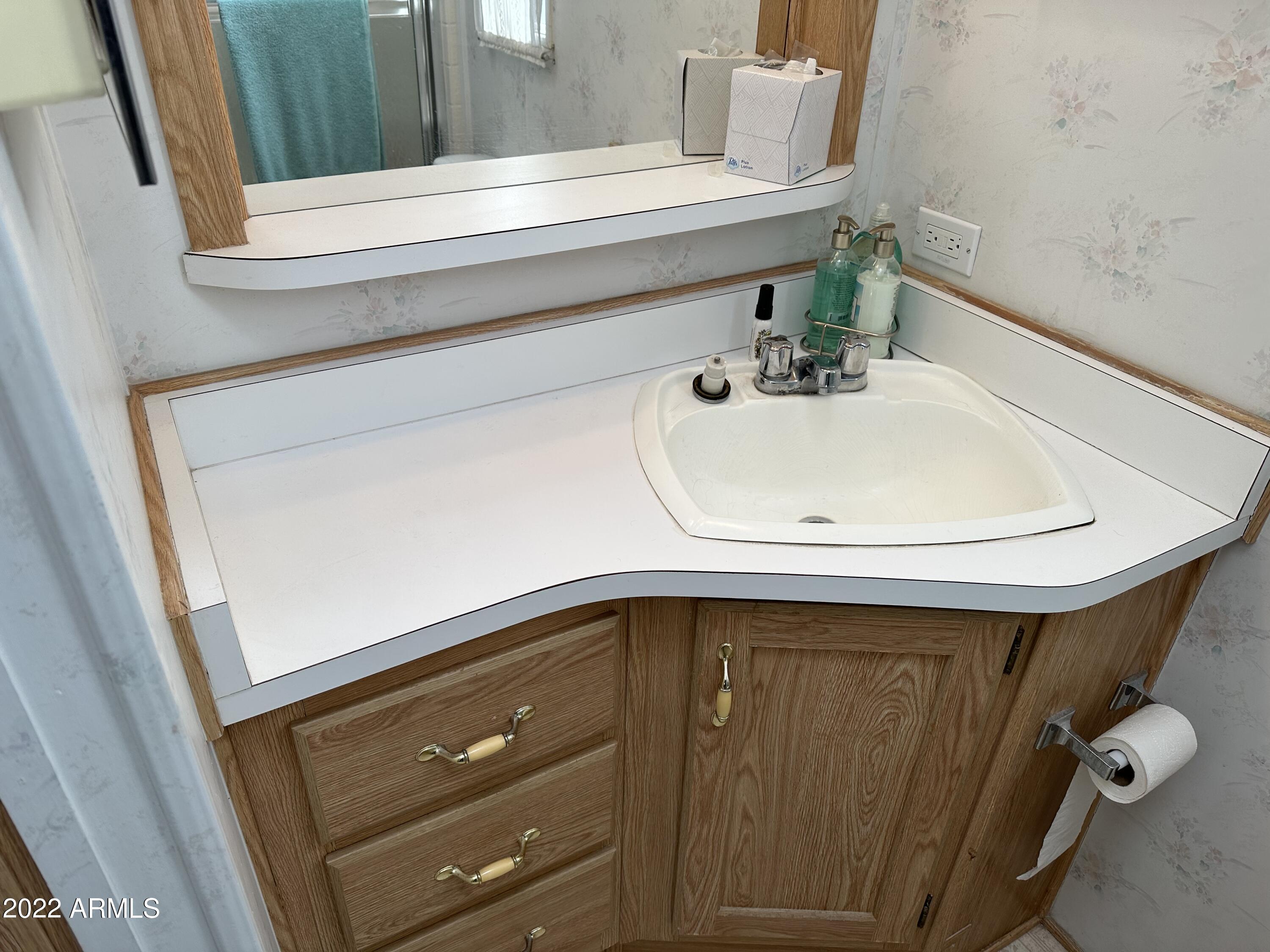 997 South Prospectors Road Apache Junction, AZ 85119 - Photo 46 of 63 VANITY