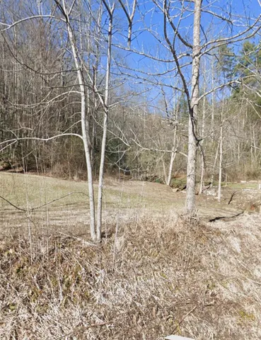 $155,000 | 494 Shepherd Creek Road, Franklin, NC 28734