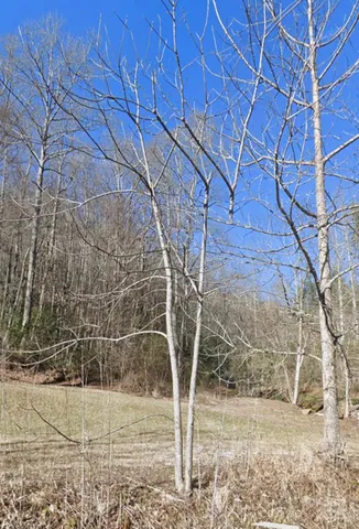 $155,000 | 494 Shepherd Creek Road, Franklin, NC 28734