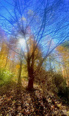 $155,000 | 494 Shepherd Creek Road, Franklin, NC 28734